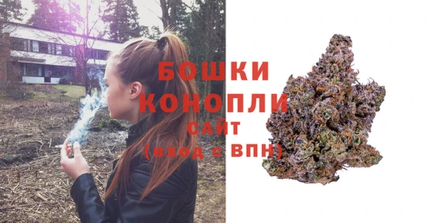 ГАЛЛЮЦИНОГЕННЫЕ ГРИБЫ Анжеро-Судженск