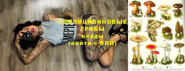 альфа пвп Анива