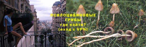 альфа пвп Анива