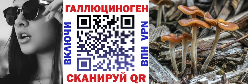 Галлюциногенные грибы GOLDEN TEACHER  Любим 